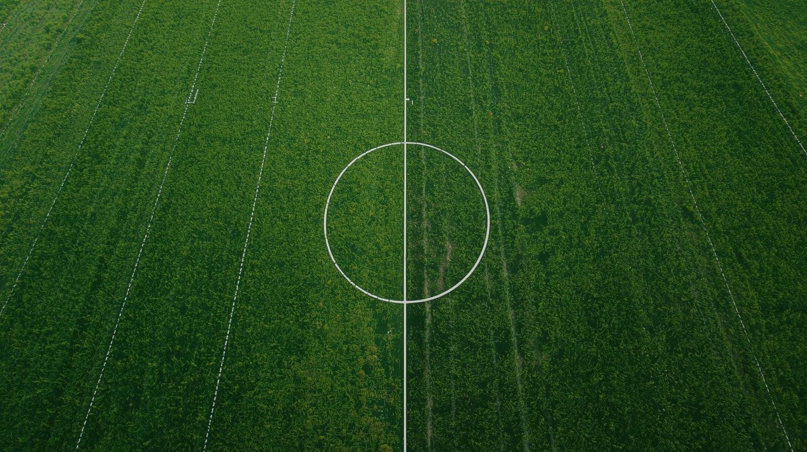 Half Acre Dimensions: Full Breakdown in Feet, Meters & Real Examples